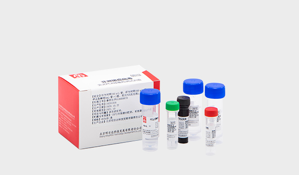 非洲猪瘟病毒荧光PCR核酸检测试剂盒